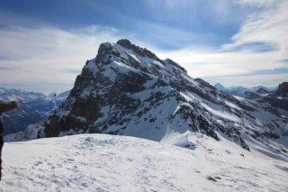 ferdenrothorn